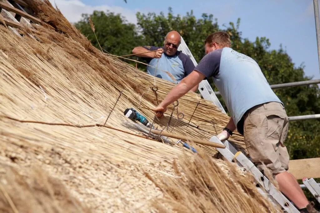 roof thatching