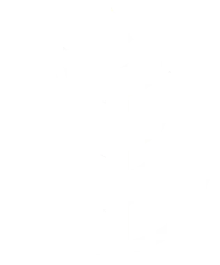 Leaf Icon
