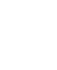 White Leaf Icon